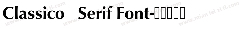 Classico   Serif Font字体转换
